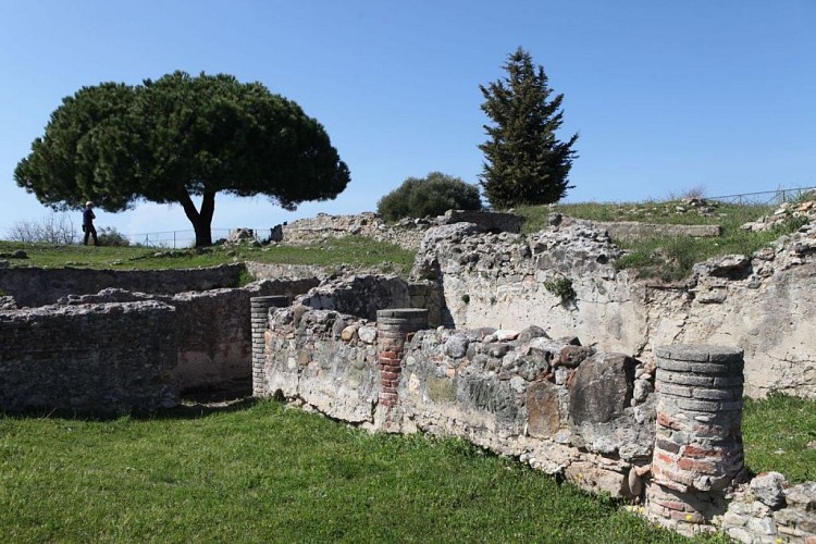 Site-Antique-PJL--4--2