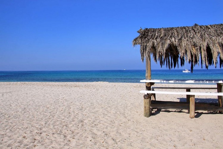 ATC-S.Alessandri capo di feno2