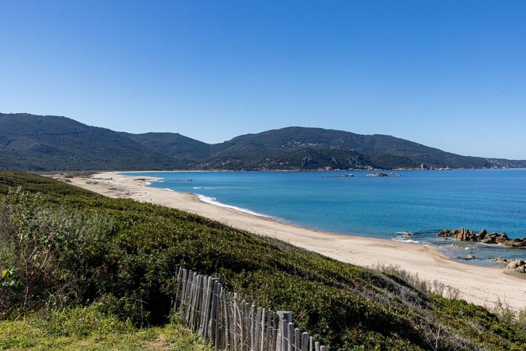 Plage de Capu Lauroso - Proprinano 