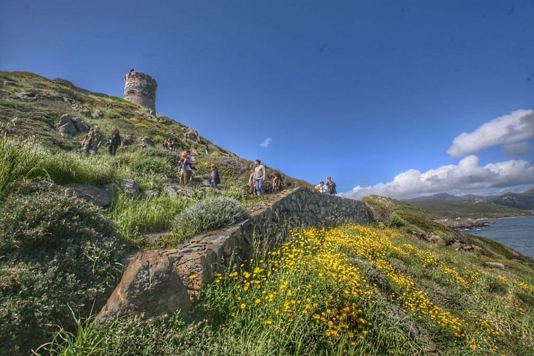 AJACCIO-SANGUINAIRES-VISITE