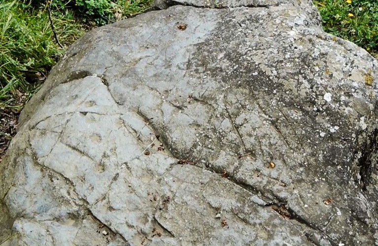 a petra scritta matra