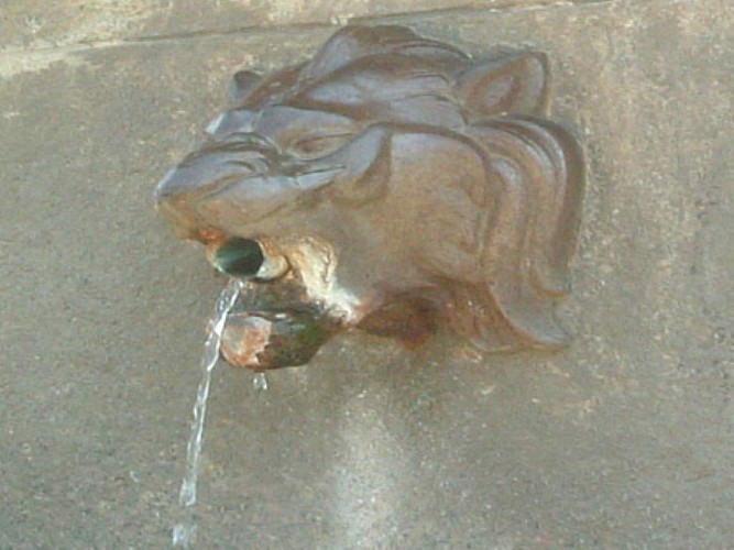 ARBIDDALI - ARBELLARA