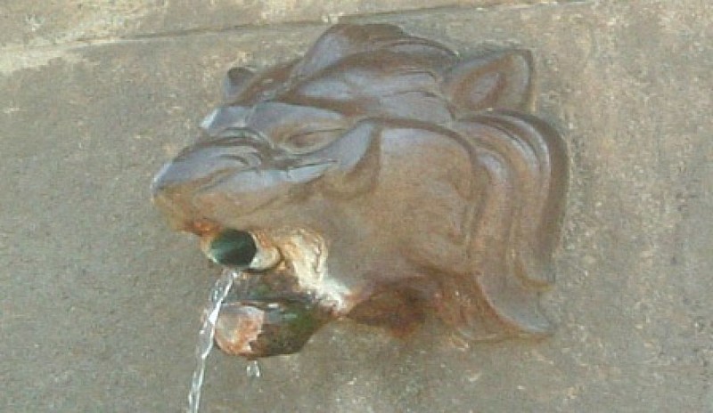 Arbellara Corse du sud_8