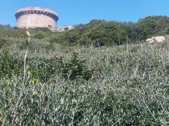 BELVEDERE CAMPOMORO _6