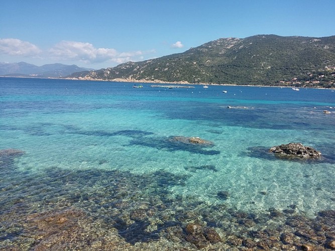 BILVIDÈ CAMPUMORU - BELVEDERE CAMPOMORO