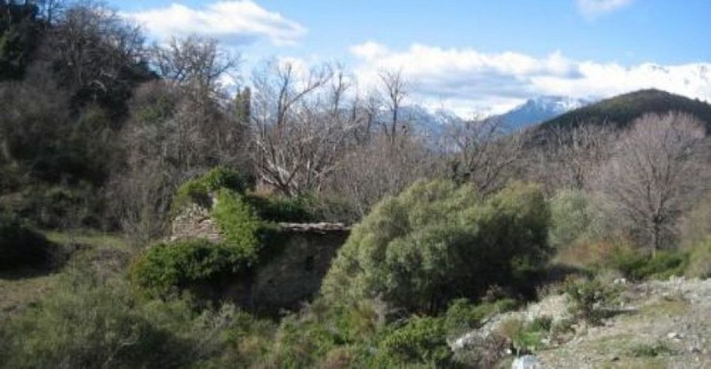 CHAPELLE-ROMANE-SAINT-MICHEL-ALTIANI-4