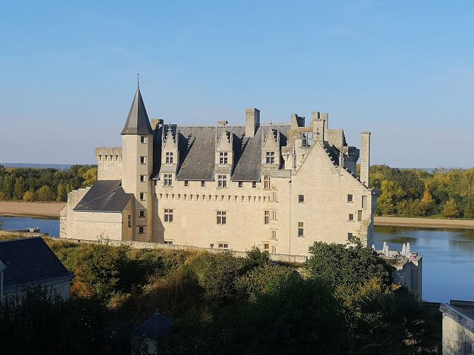 Château de Montsoreau, Musée d'art contemporain