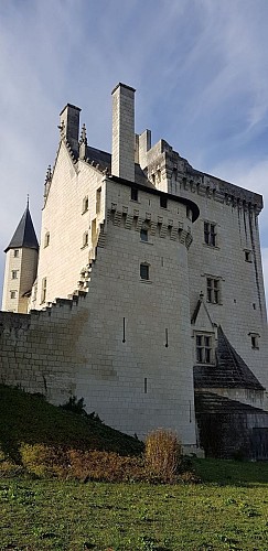 Château de Montsoreau, Musée d'art contemporain