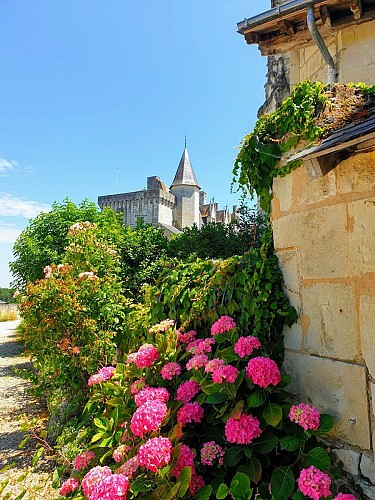 Château de Montsoreau, Musée d'art contemporain