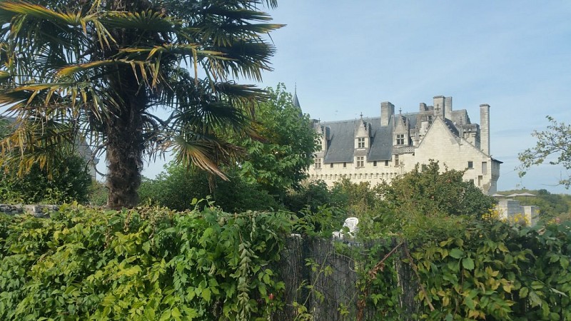 Château de Montsoreau, Musée d'art contemporain