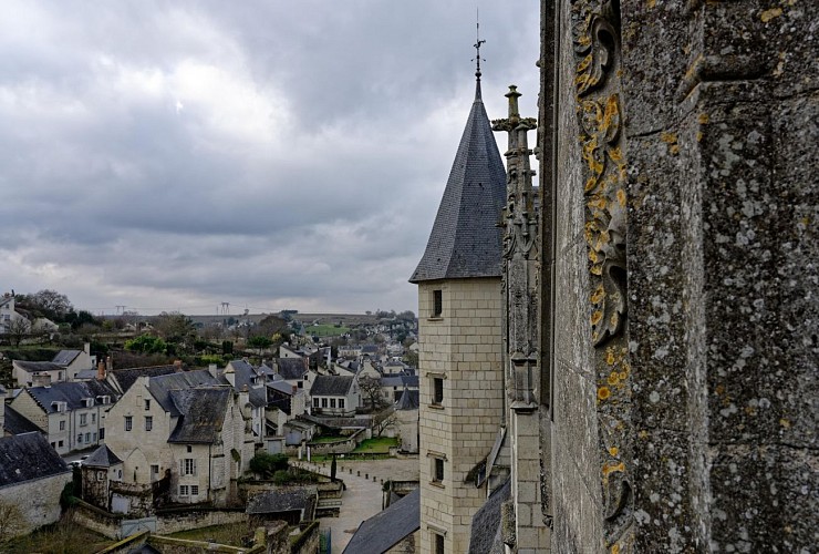 Château de Montsoreau, Musée d'art contemporain