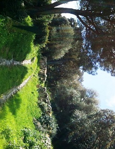 village de Grossa Corse du sud_9