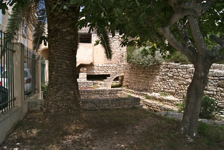 jardin-des-vestiges-2