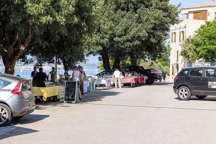 ©️ ATC-320 - Copie