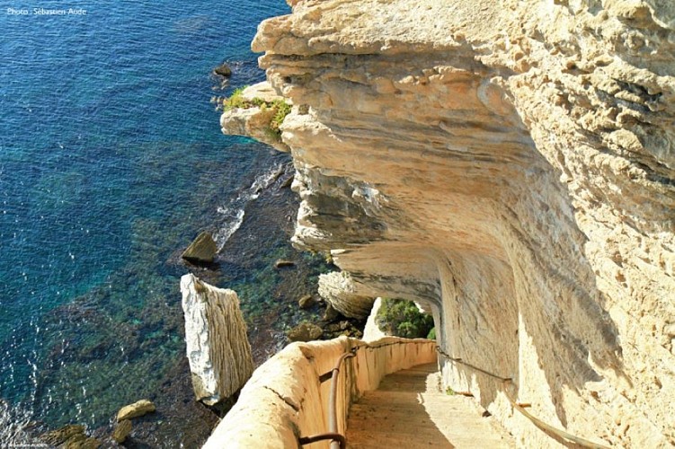 escalier-du-roy-d-aragon-3