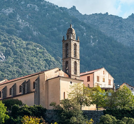 Eglise-de-Bicchisano