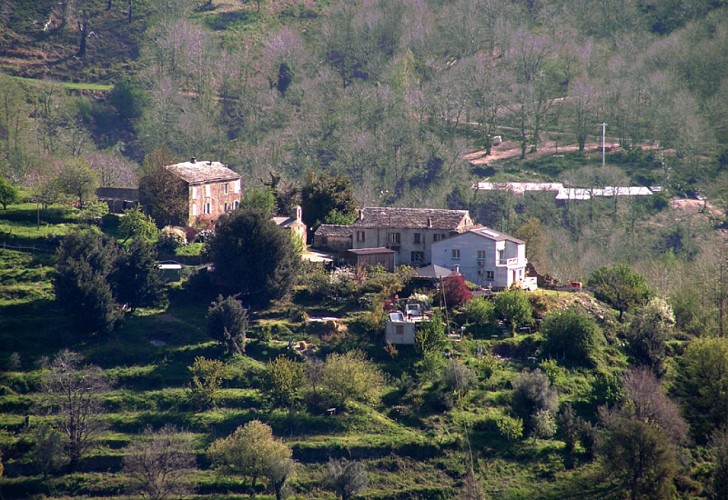 U POGHJU MARINACCIU - POGGIO MARINACCIO