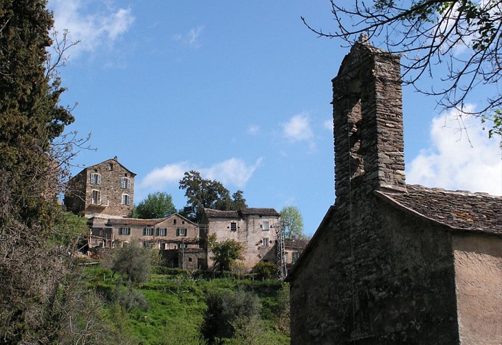 POGGIO MARINACCIO_6