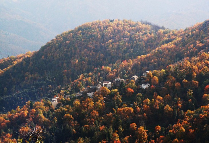 U PULVEROSU - POLVEROSO