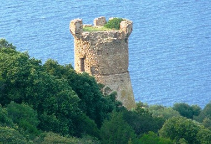 Tour de porto pollo Corse du sud patrimoine corse_6