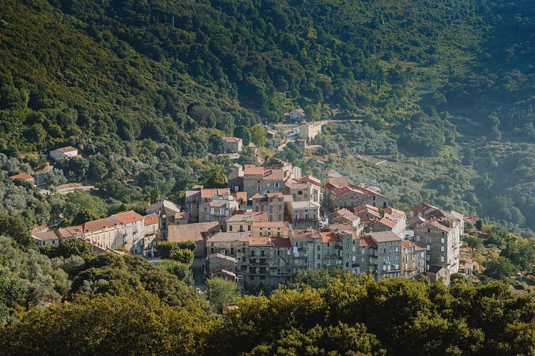SAINT-LUCIE-DE-TALLANO (8)