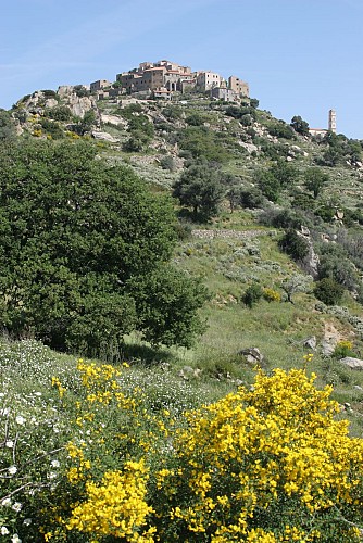 village de Balagne classé parmi les plus beaux villages de France