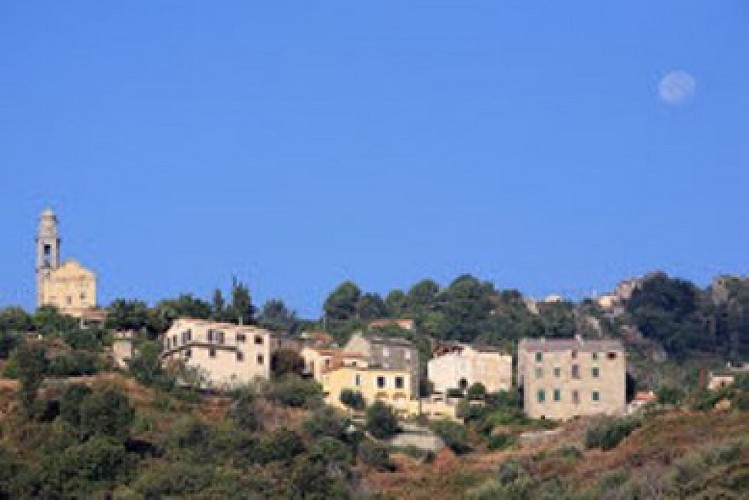 SANT'ANDREA DI COTONE_4