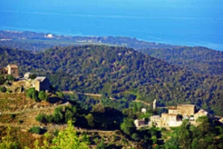 SANTA LUCIA DI MORIANI_4