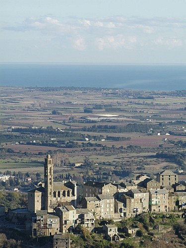 A VENZULASCA - VENZOLASCA