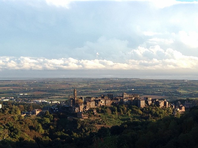 A VENZULASCA - VENZOLASCA_3_3