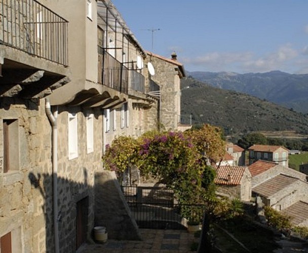 Zigliara Corse du sud _1