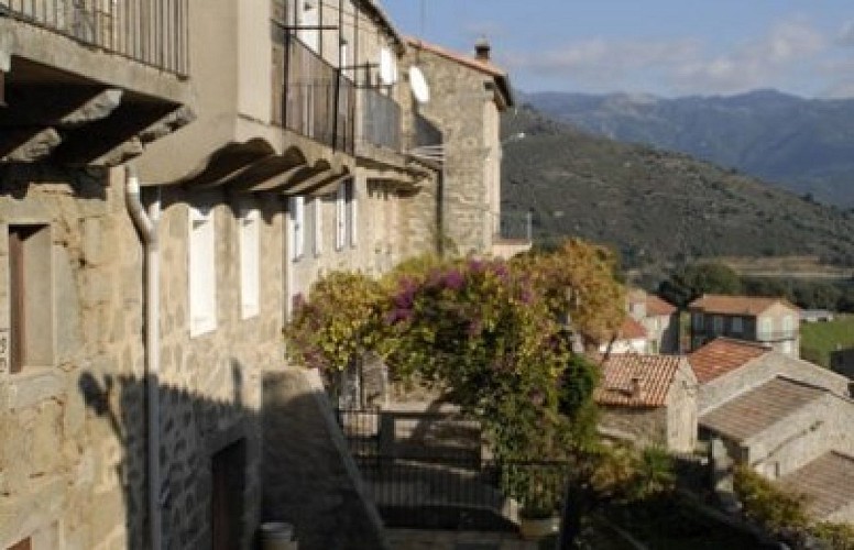 Zigliara Corse du sud _5