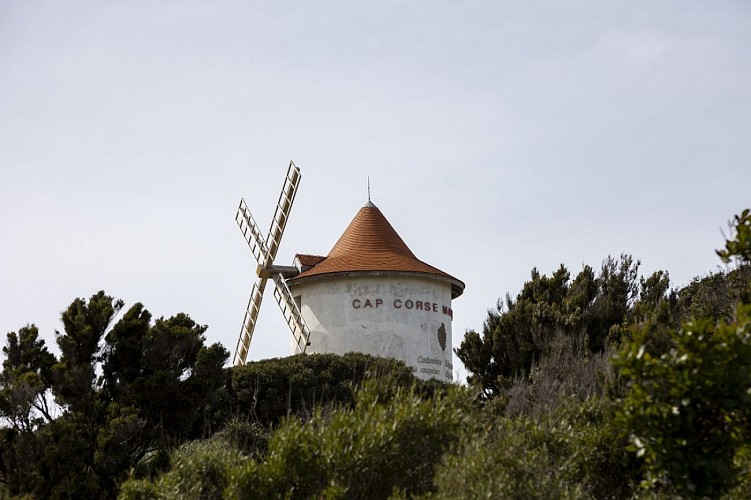 MOULIN MATTEI