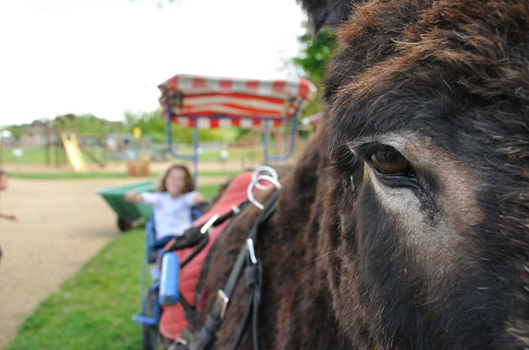 PARC DE LOISIRS ET D'ATTRACTIONS DE L'ETANG