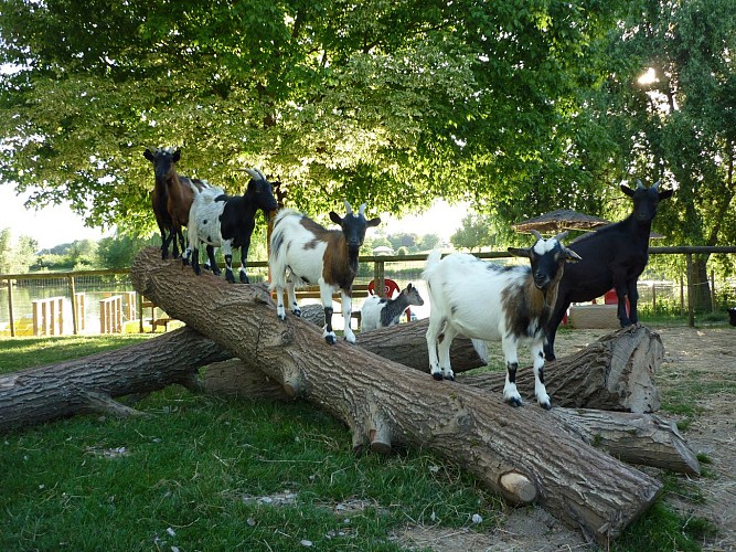 PARC DE LOISIRS ET D'ATTRACTIONS DE L'ETANG