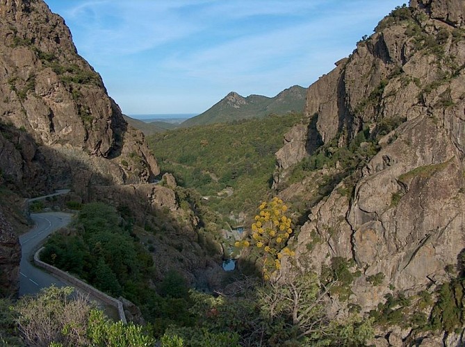 DÉFILÉ DE L'INZECCA