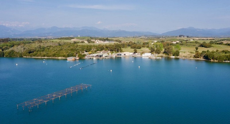 etangdediana-patrimoinenaturel_2025 (1)