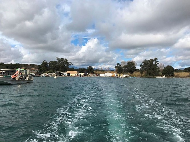 ETANG DE DIANA ALERIA