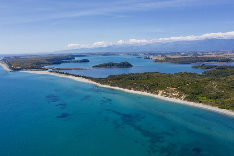 etangdediana-patrimoinenaturel_2025 (3)