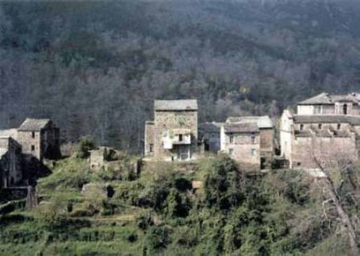 FORET-DOMANIALE-ROSPA-SORBA-1