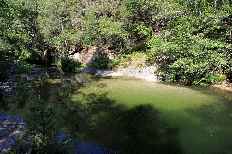 ATC-S.Alessandri foret alta rocca4 - Copie