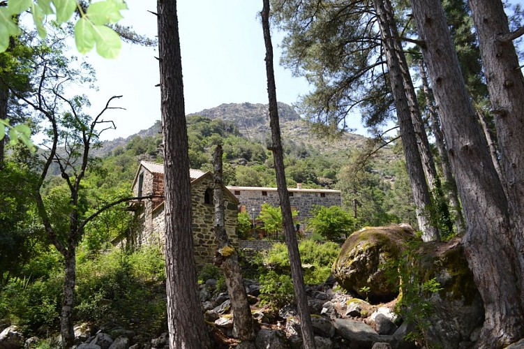FORÊT DE TARTAGINE - MELAGHJA