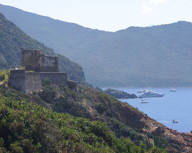 GOLFE-DE-GIROLATA-14