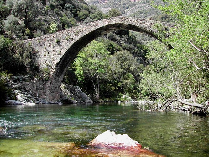 FLEUVE DE LA SPELUNCA