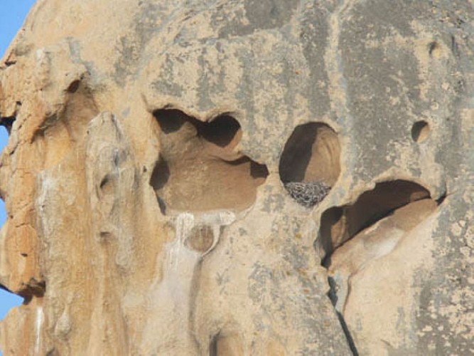 BELVEDERE-CAMPOMORO-9