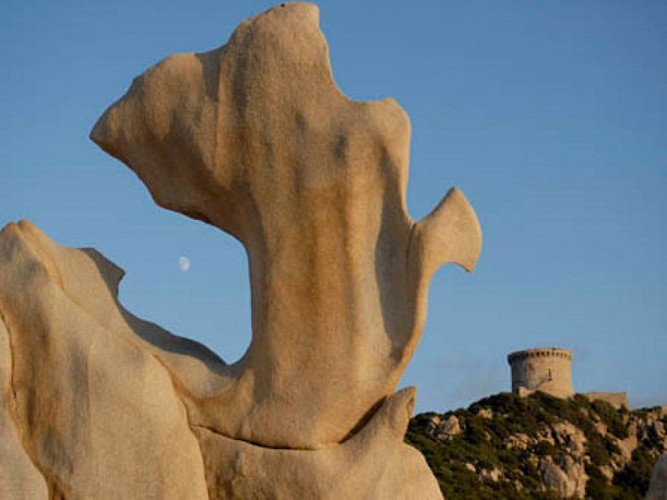 BELVEDERE-CAMPOMORO-10