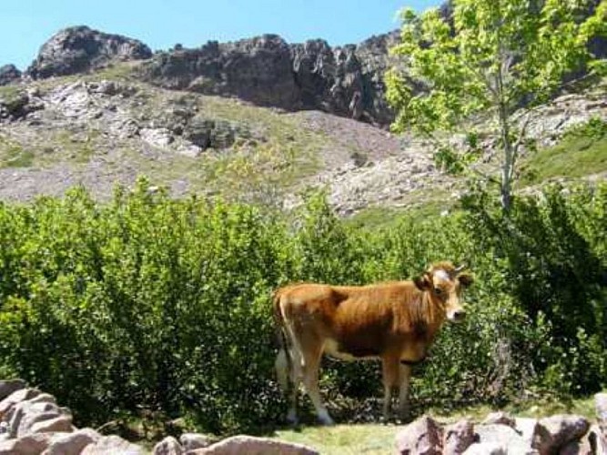 PARC-NATUREL-REGIONAL-DE-LA-CORSE-2-5