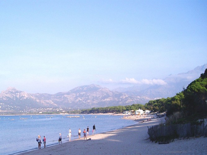 Plage de Calvi_4