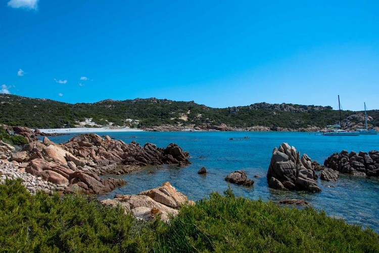 DL-BD-LD-LAPLAGEDARGENTTIZZANO-JPEG--19-