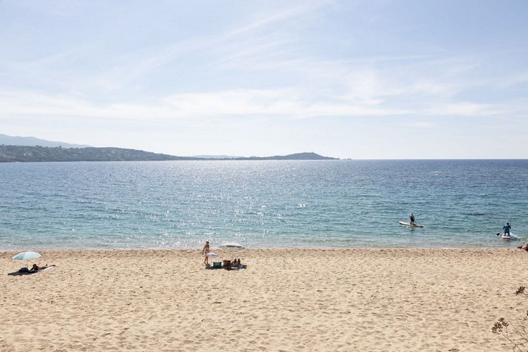 pays-ajaccien-ajaccio-AGOSTA-PLAGE-plage-ETE-INDIEN--Sylvain-Alessandri-17